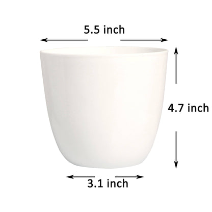 Youngever 8 Pack 5.5 Inch Flower Pot Plastic Planters-White